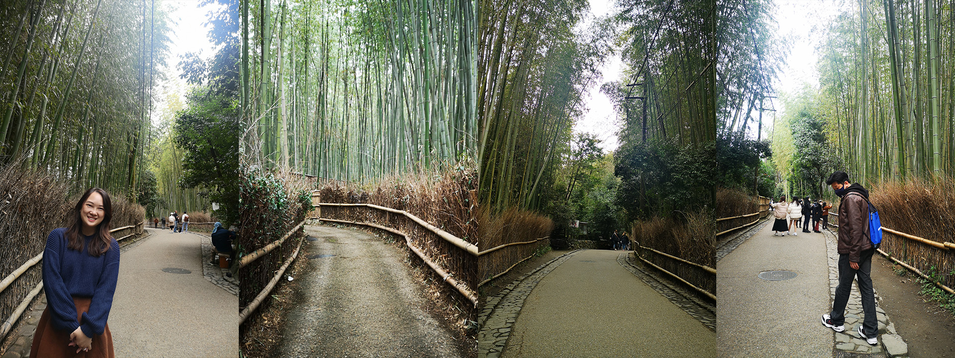 Arashiyama Bamboo Forest