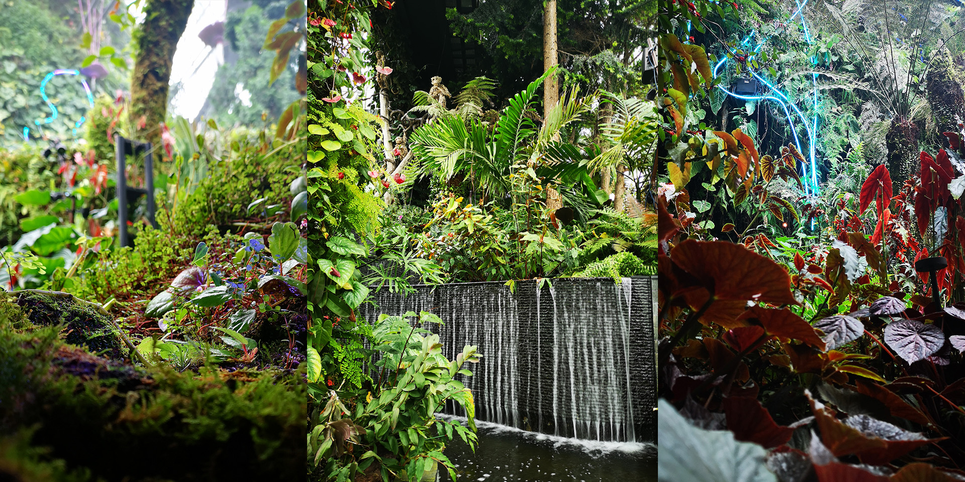 Gardens By The Bay and Cloud Forest.