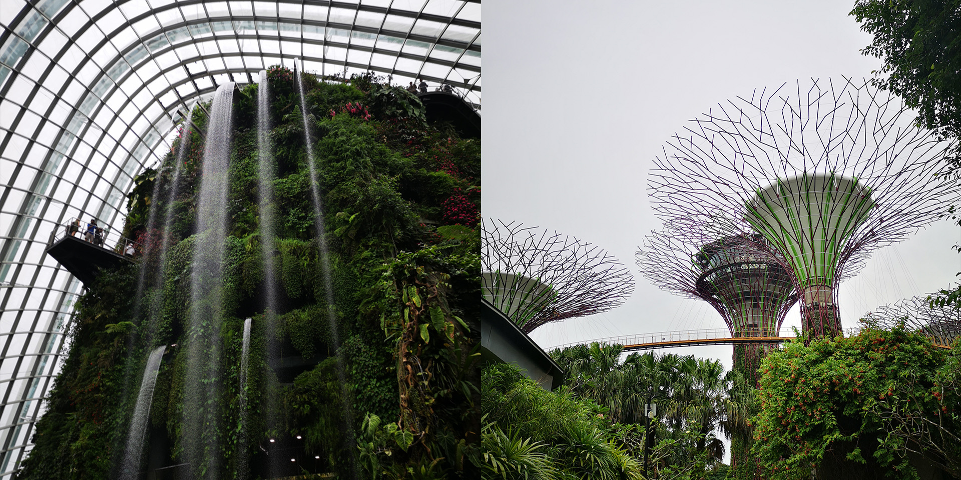 Gardens By The Bay and Cloud Forest.